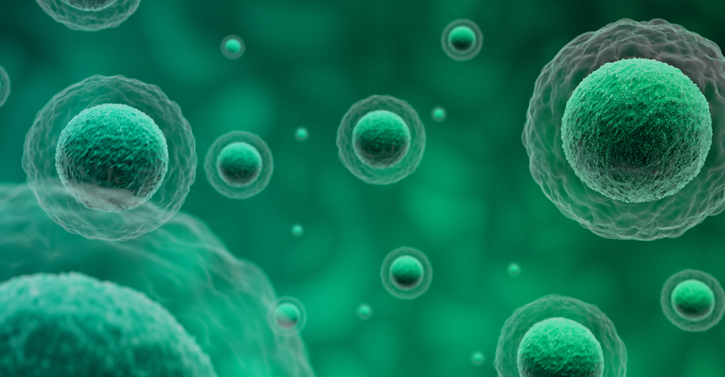 UB8(�й���)���Źٷ���վ