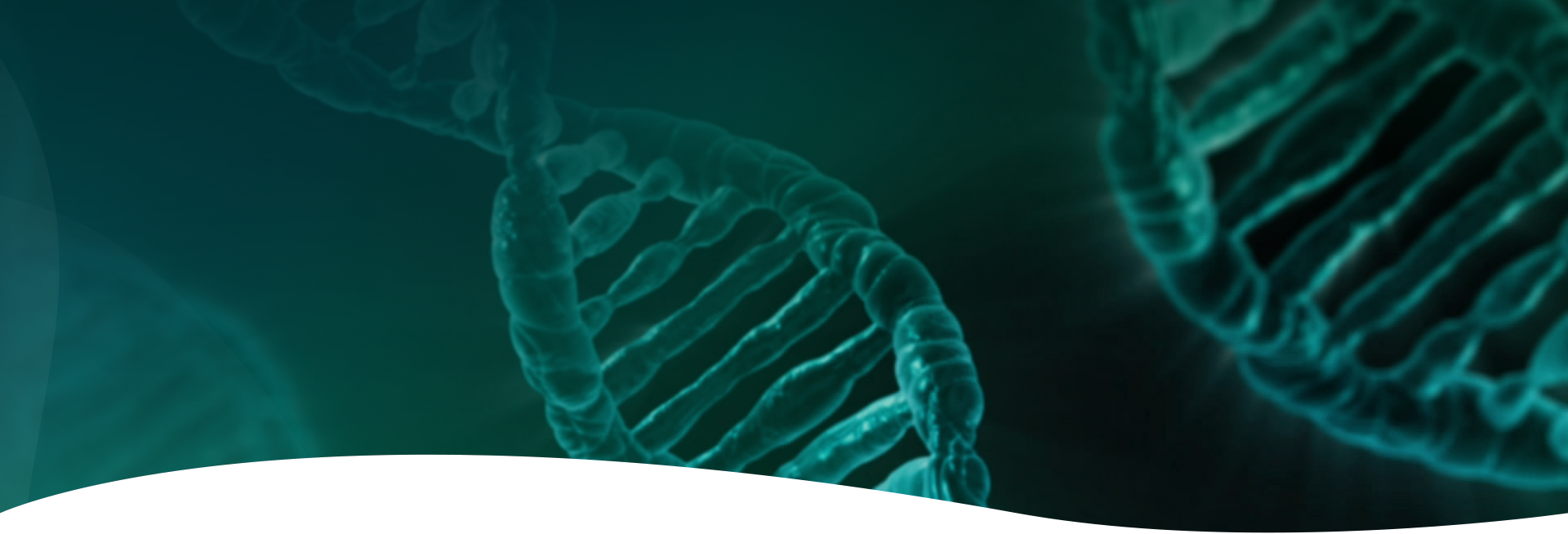 UB8(�й���)���Źٷ���վ