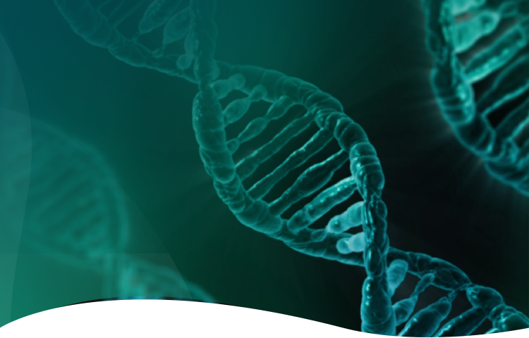 UB8(�й���)���Źٷ���վ