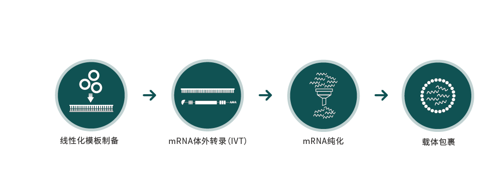 UB8(�й���)���Źٷ���վ