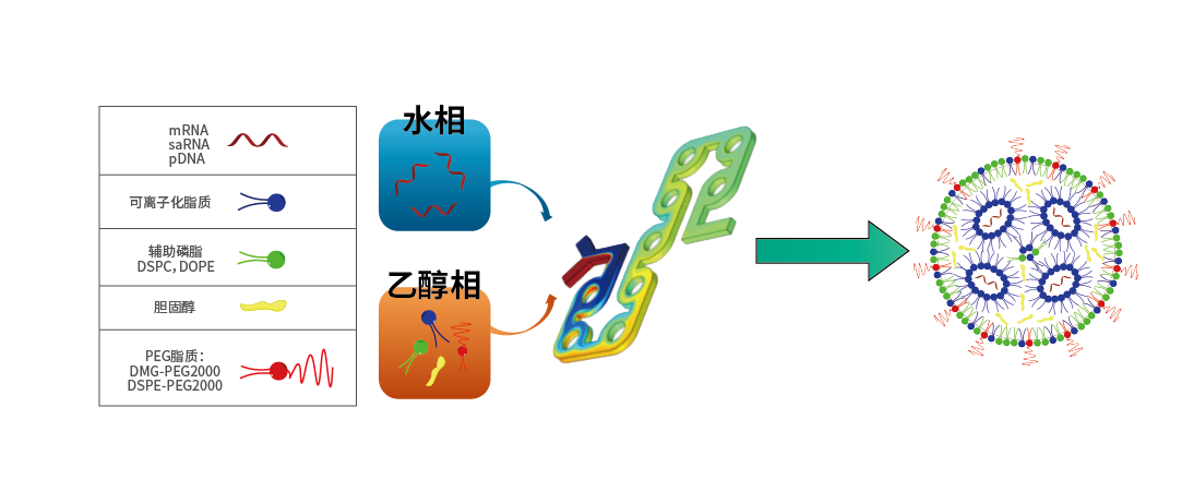 UB8(�й���)���Źٷ���վ