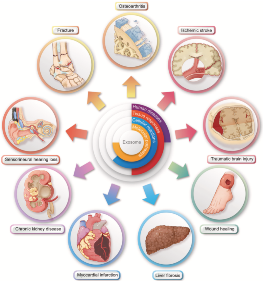 UB8(�й���)���Źٷ���վ