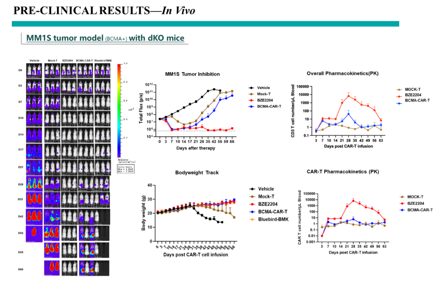 UB8(�й���)���Źٷ���վ
